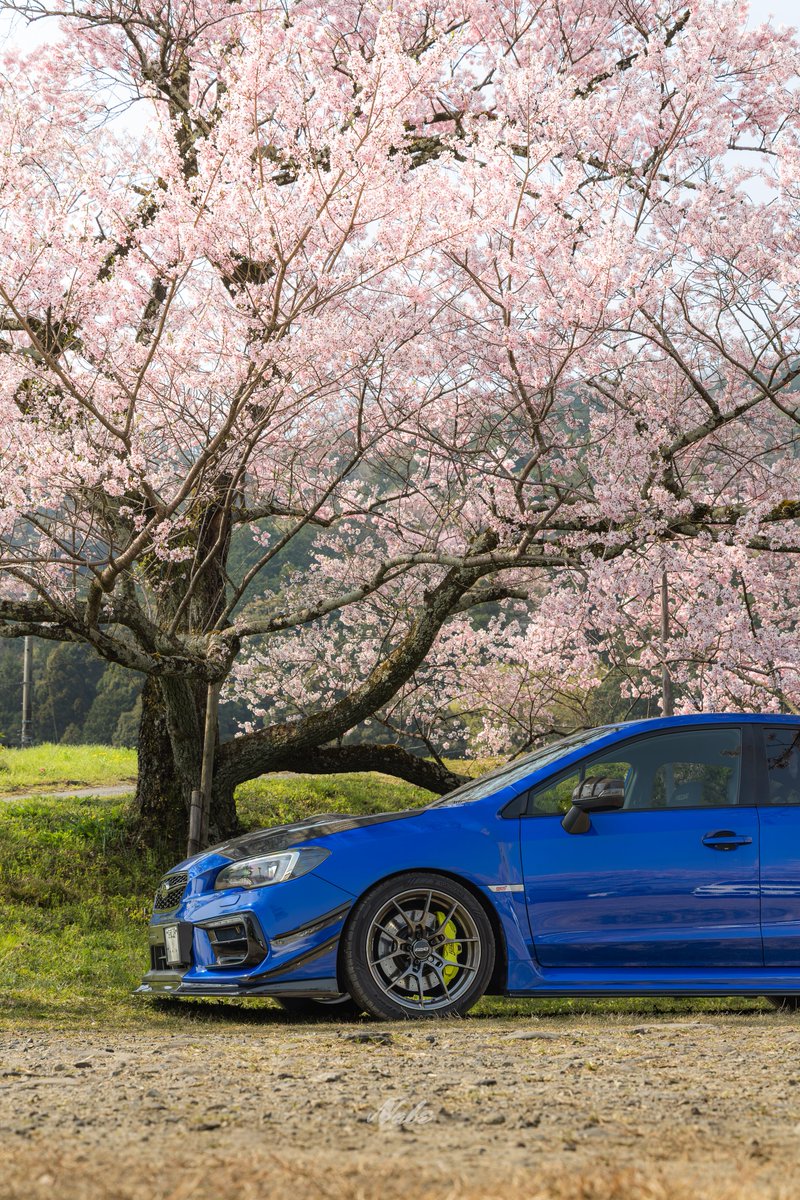 なべちゃん tweet media