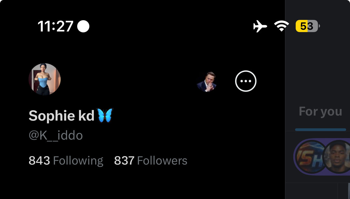 Sophie kd🦋 tweet media