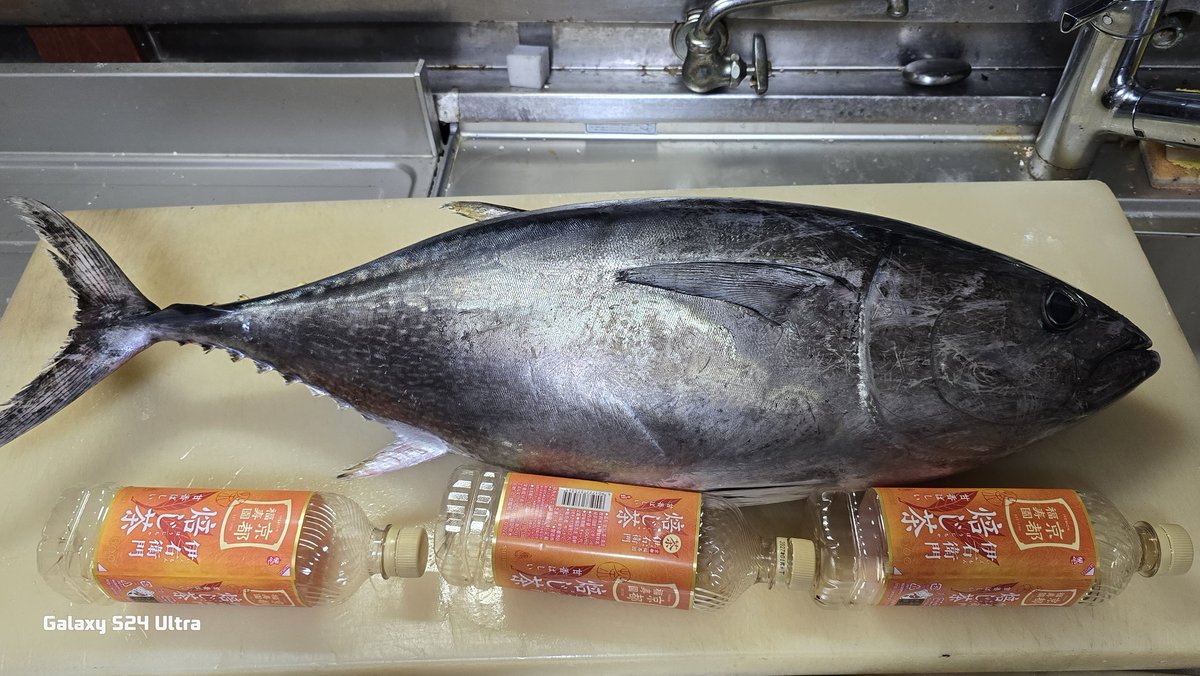 シングルおやじ tweet media