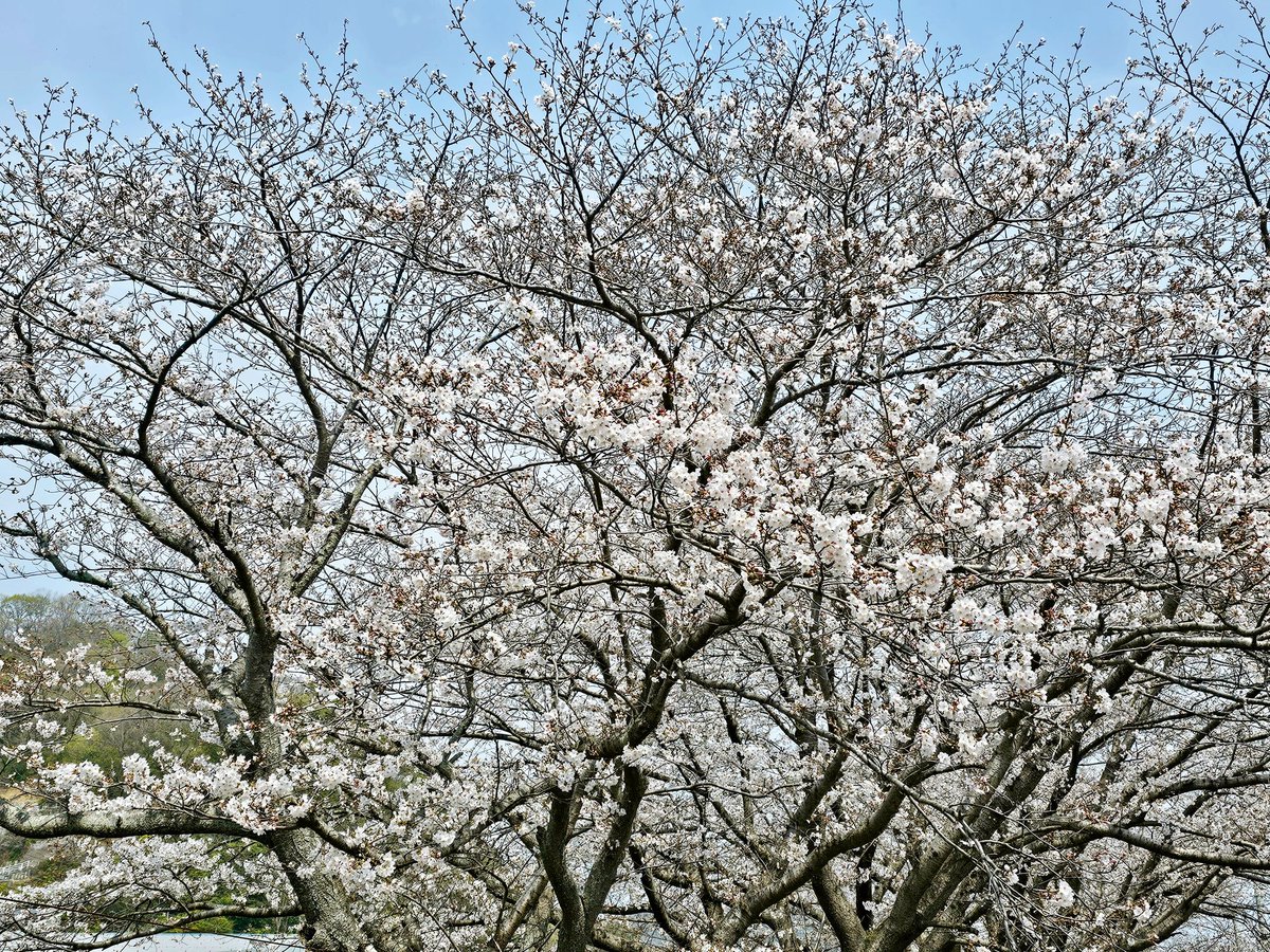 因島水軍城 tweet media