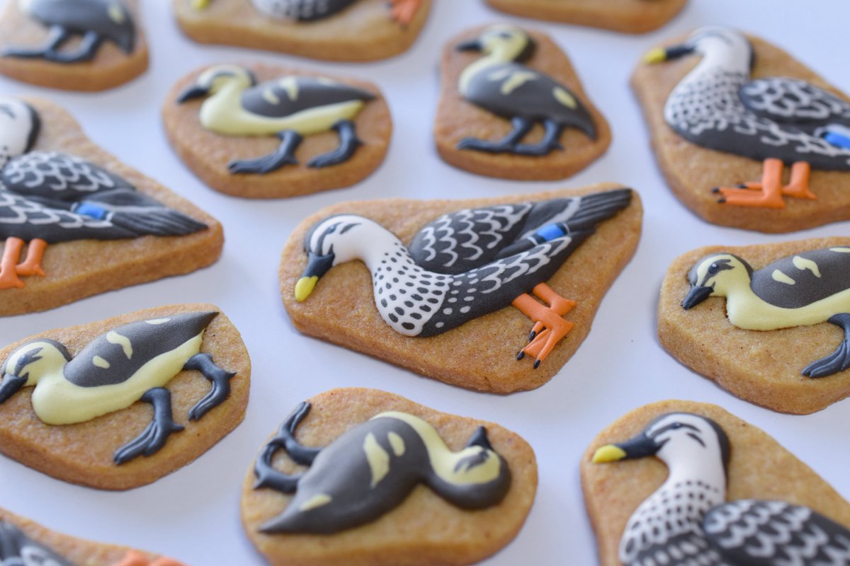 鳥類菓子図録【カプセルトイ第2弾発売中】 tweet media