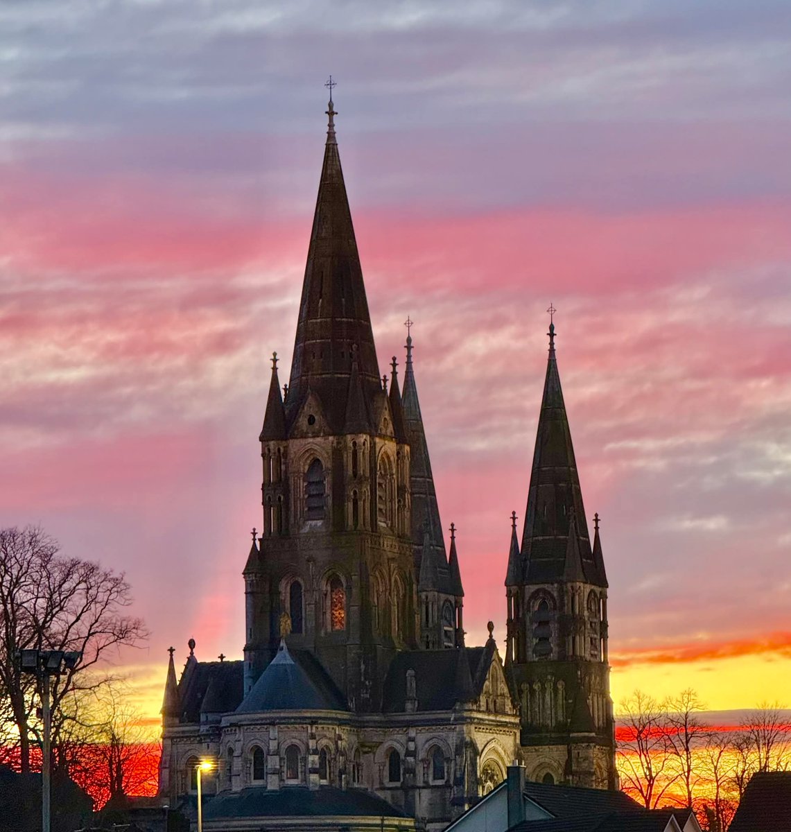 This is Ireland 🇮🇪☘️ tweet media