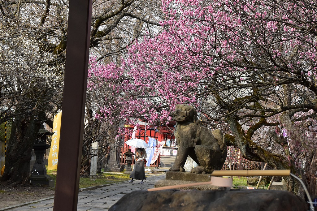 shimu＠僕の歩く町 tweet media