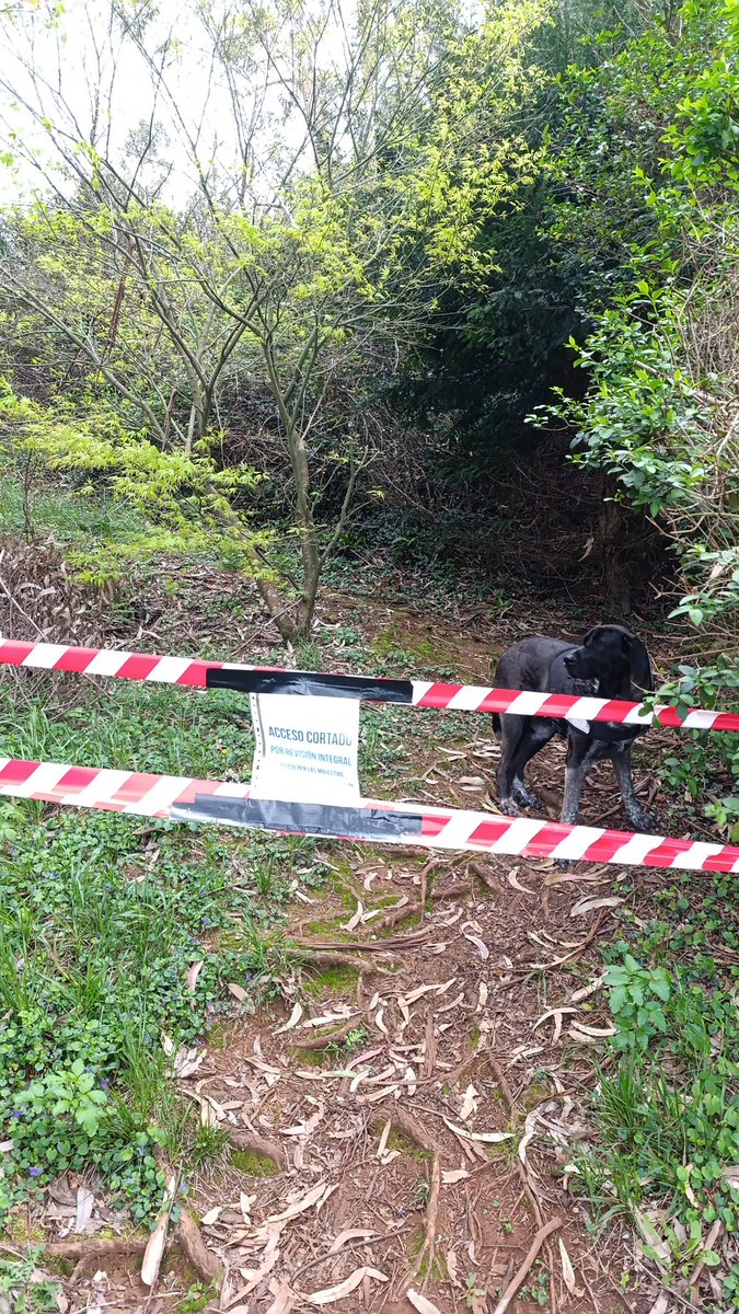 Jonathan. tweet media