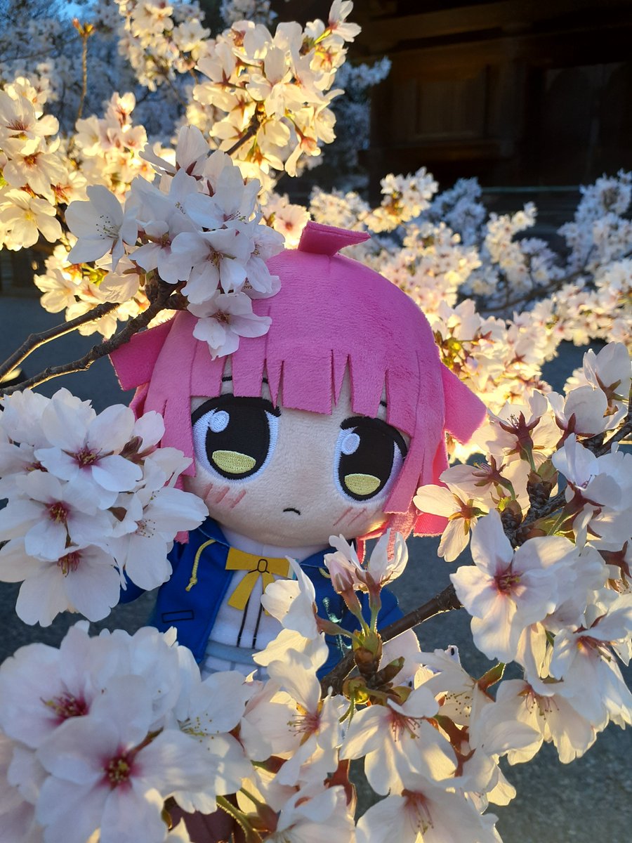 さつまいも tweet media