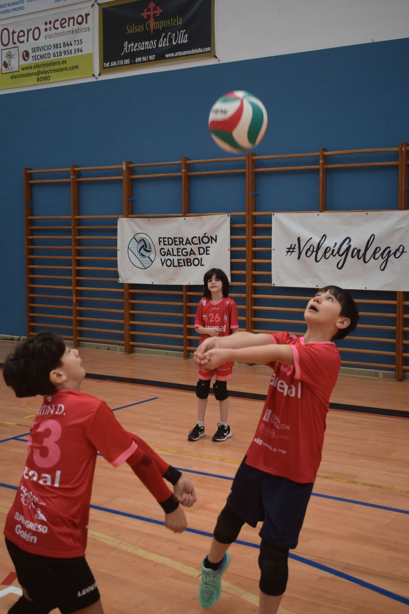 Federación Galega de Voleibol tweet media
