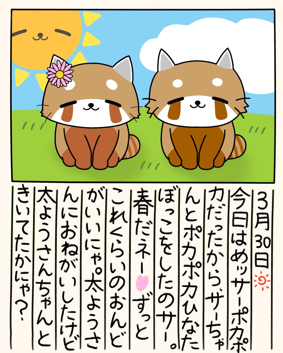 レッサーにゃんこ tweet media