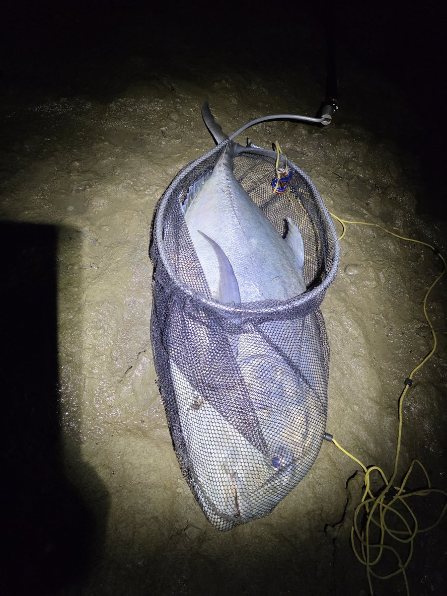 村江名∈″･⊃ウズィ tweet media