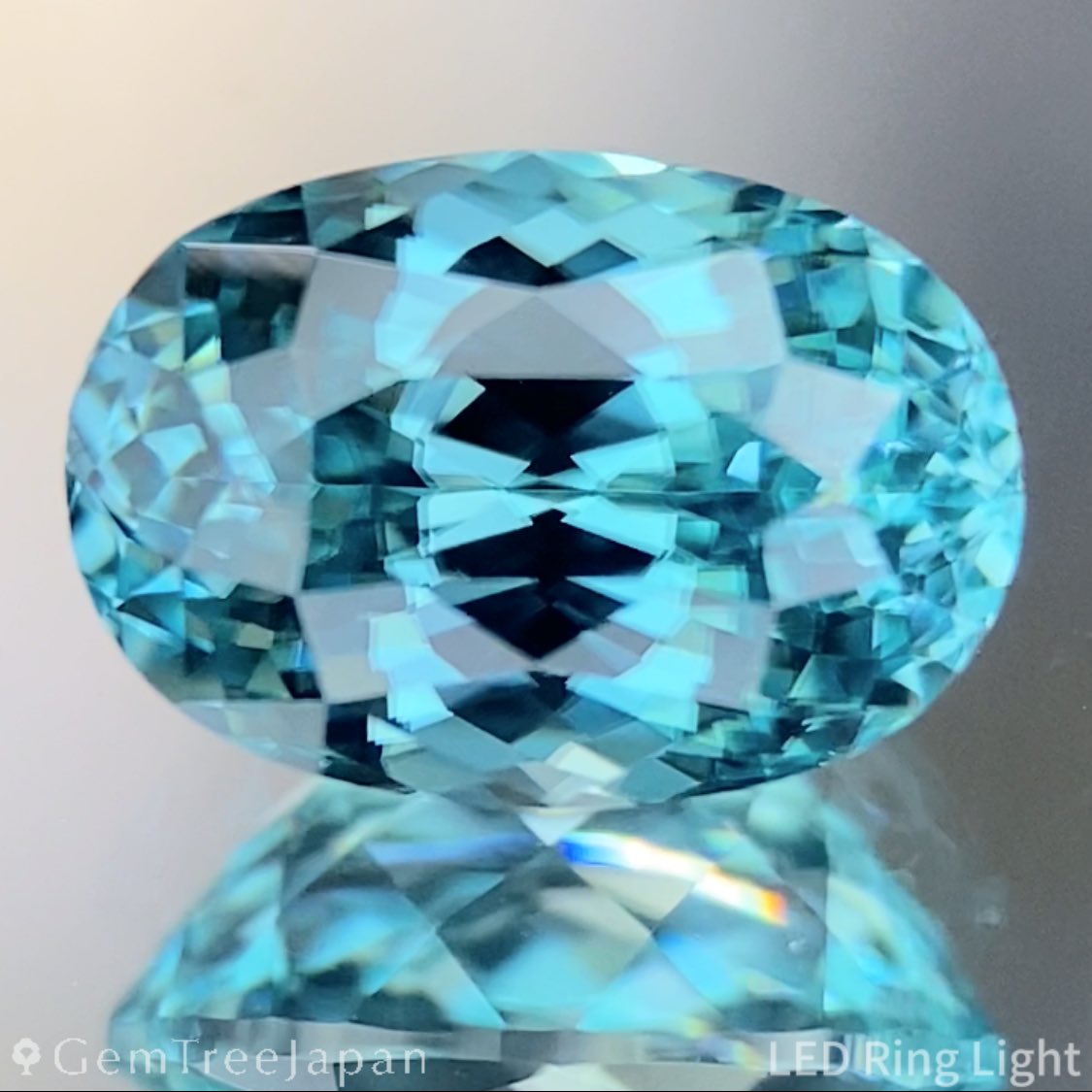 GemTreeJapan tweet media