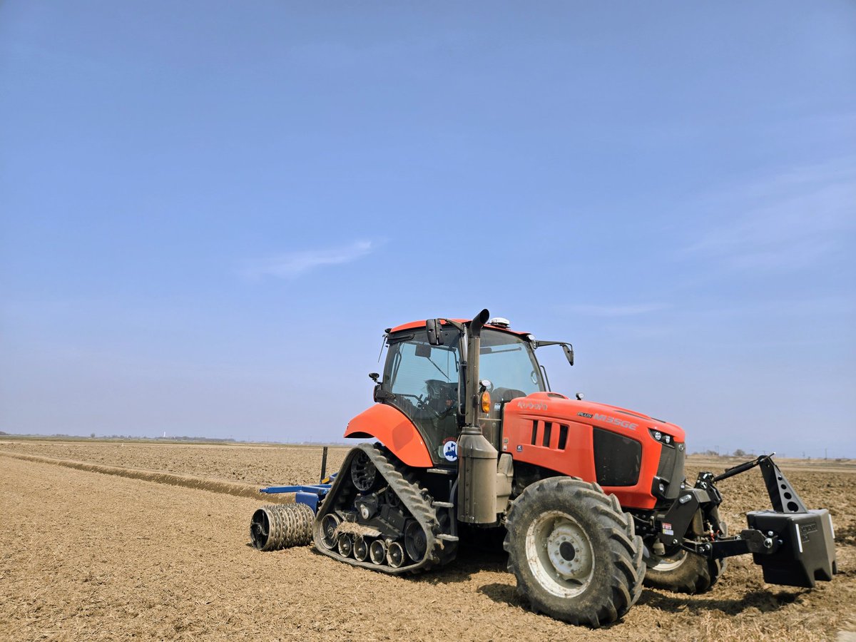 しろえもん tweet media