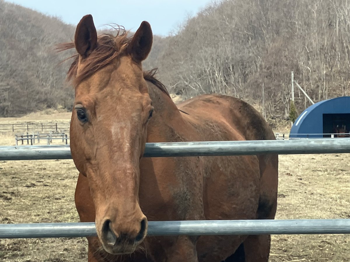 MTHケイムズ tweet media