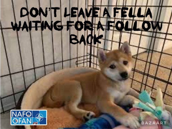 Quisp Fella ⚢🏳️‍🌈🌻🇺🇦🌻 tweet media