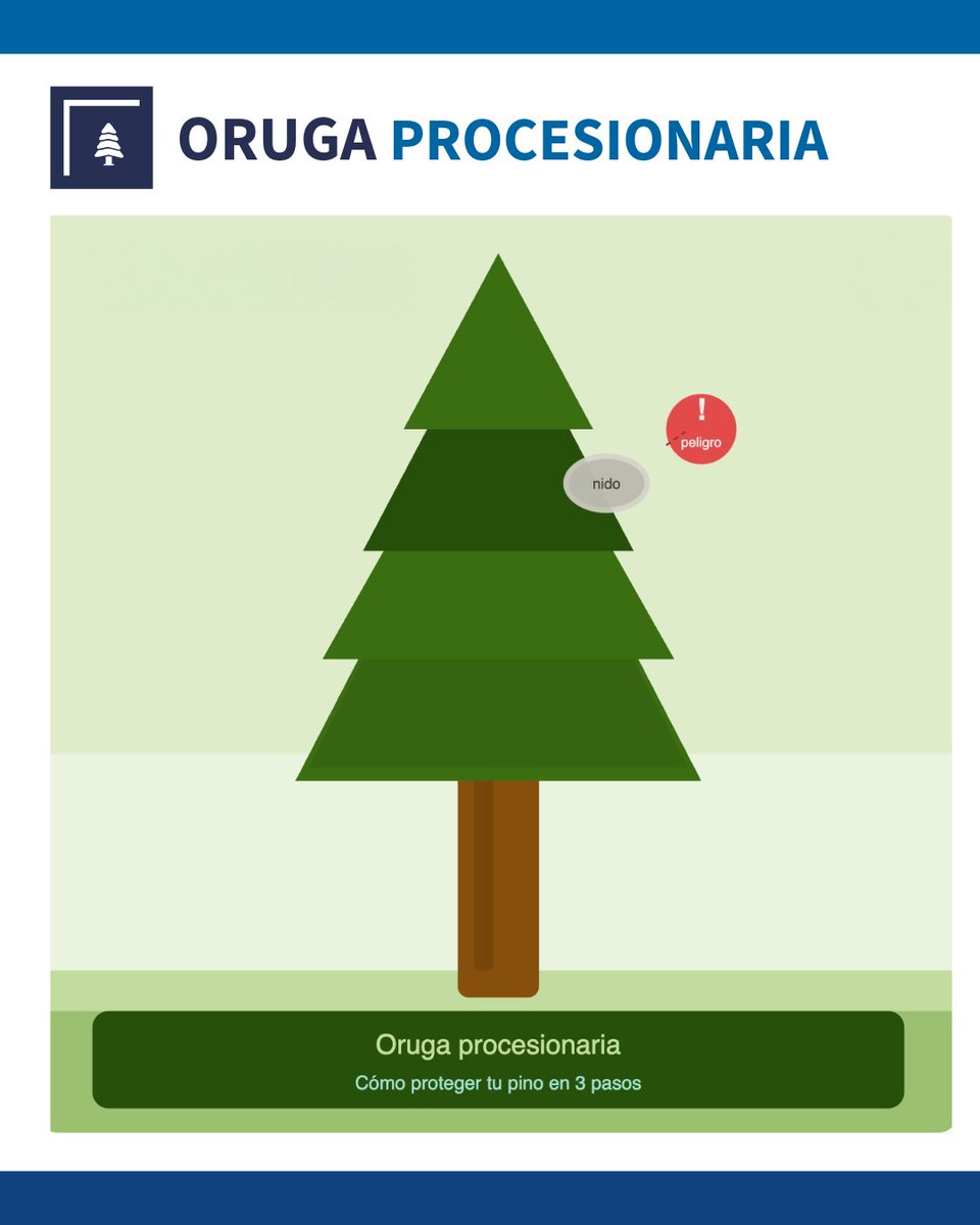 Ayto. de Navacerrada tweet media