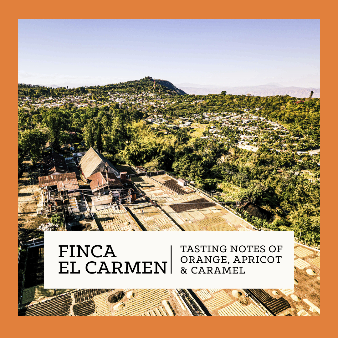 CarvetiiCoffee's tweet image. NEW coffee! Our Roaster’s Choice coffee for March has been added to our Filter line-up. With tasting notes of Orange, Apricot &amp;amp; Caramel, it's not to be missed!

Get it here: 
carvetiicoffee.co.uk/products/finca…

#coffee #coffeeroasting #filtercoffee #coffeebeans #elsalvadorcoffee #newcoffee