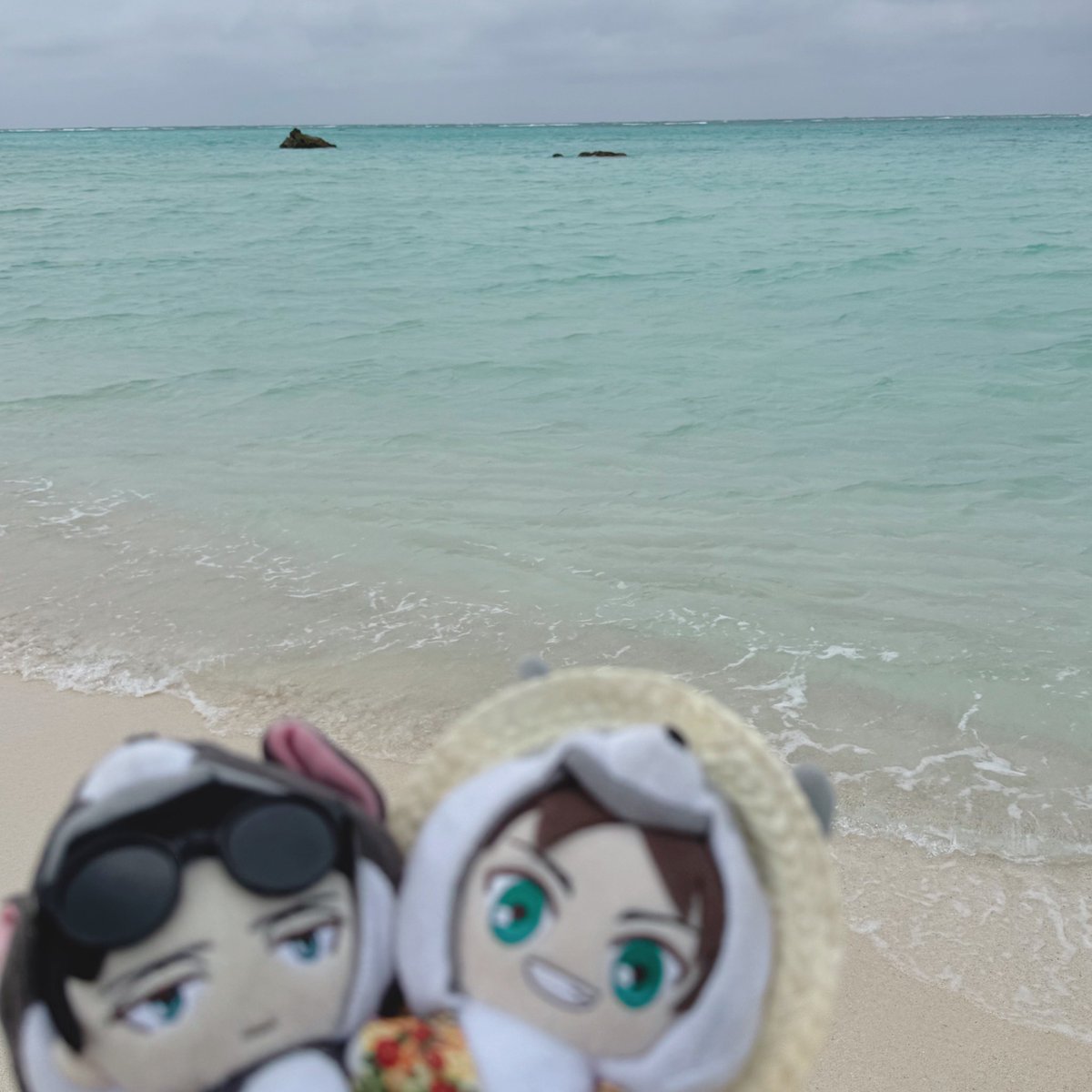 ︎︎おゆう🧁 tweet media