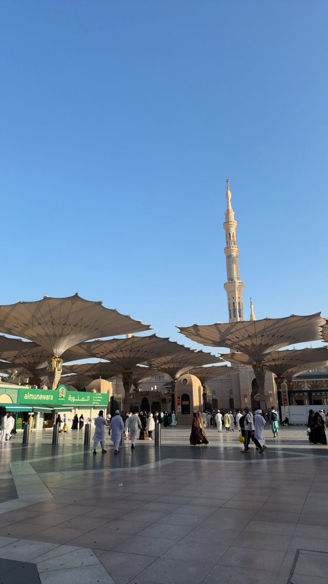 هياء tweet media