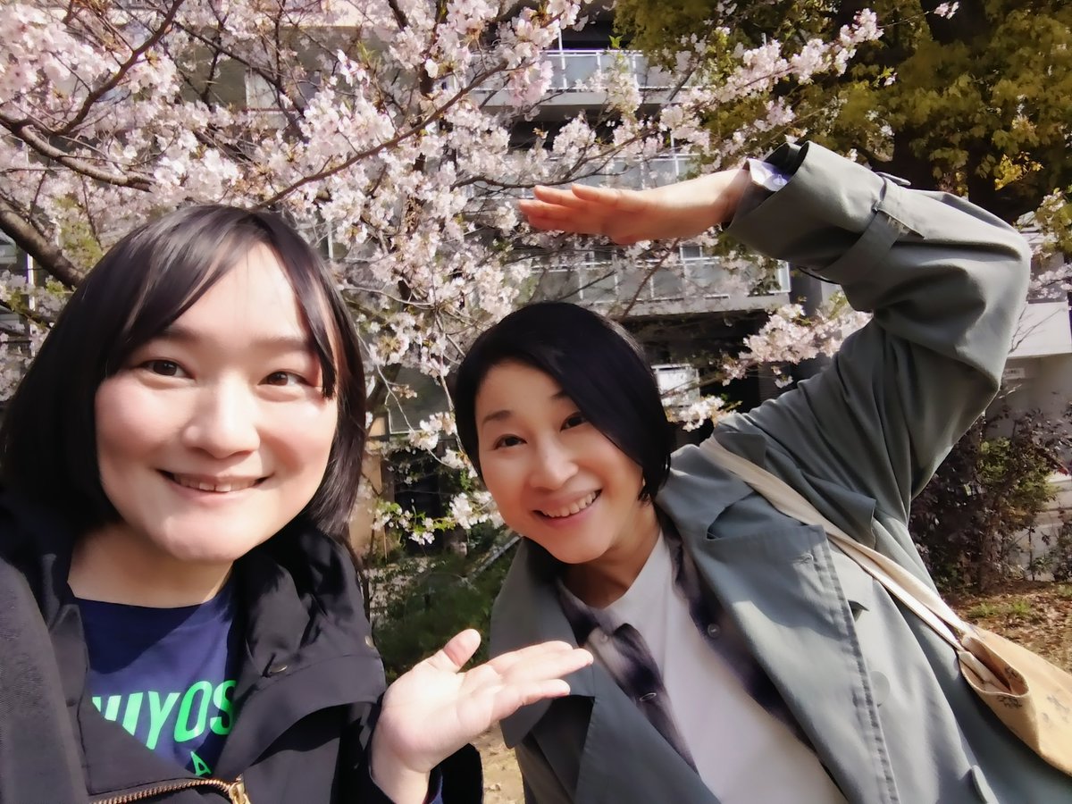 最強せつこ tweet media