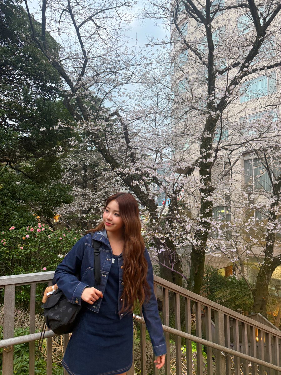 벚꽃🌸

#UNIS #유니스 
#YOONA #오윤아