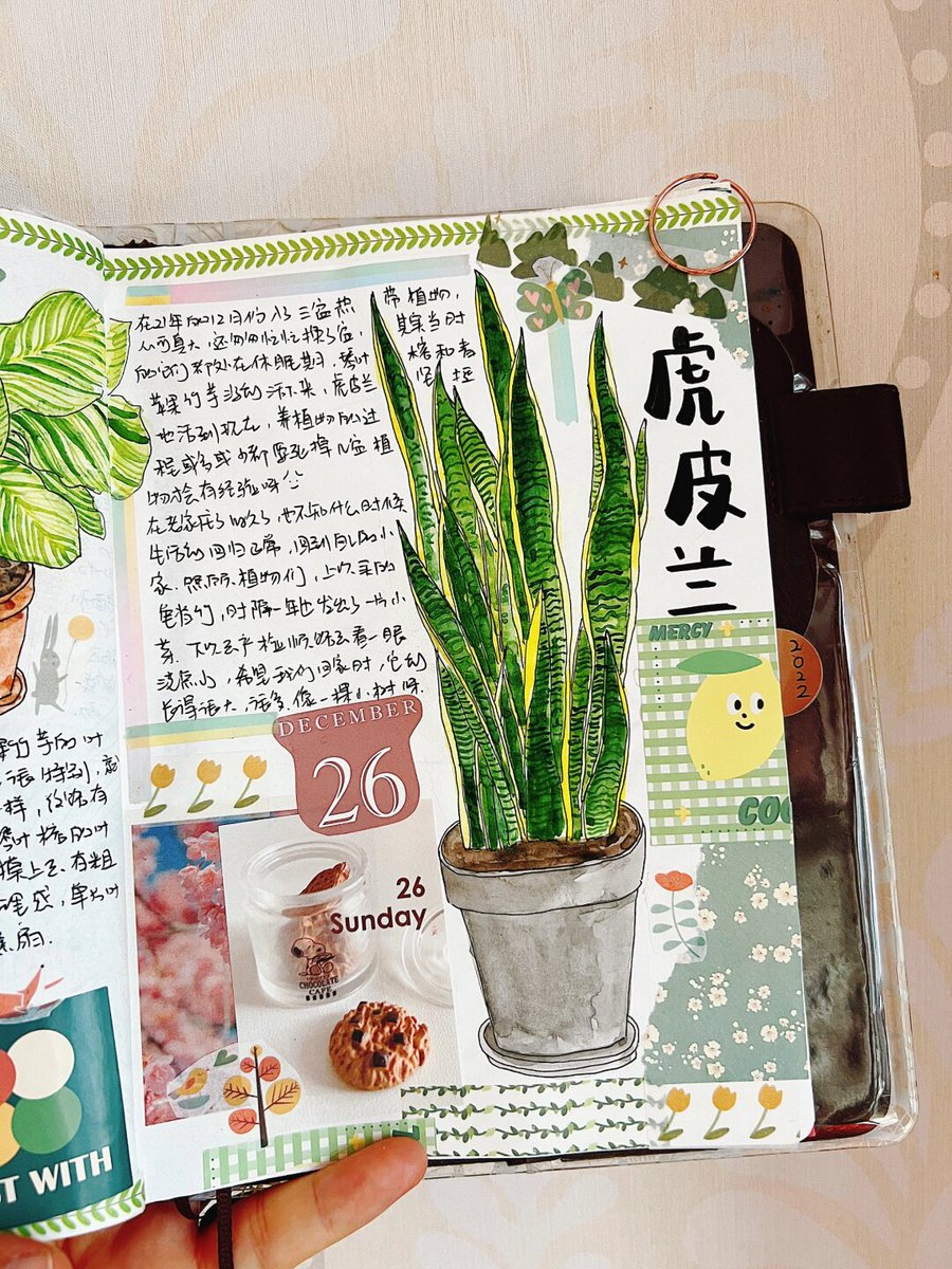 Raju Chauhan tweet media