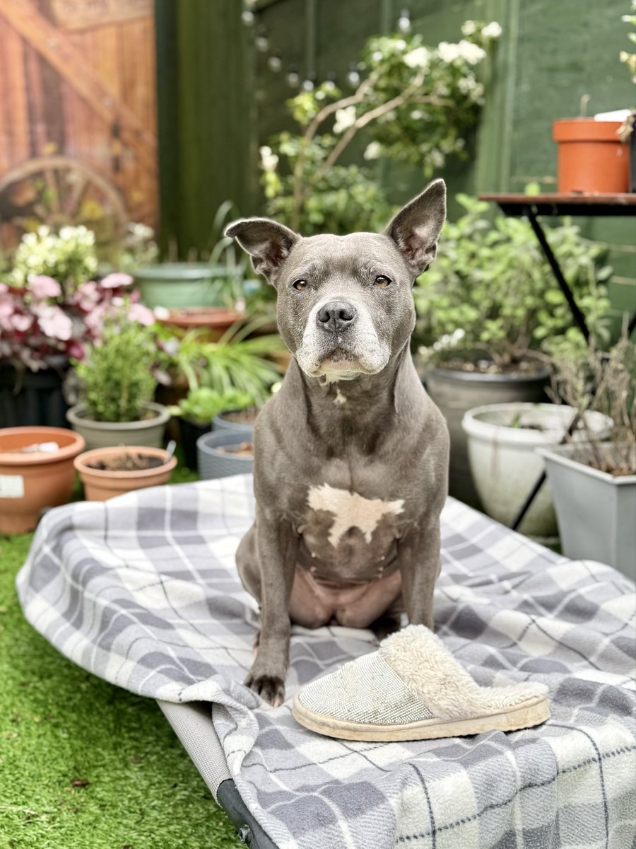 Isa Mary tweet media