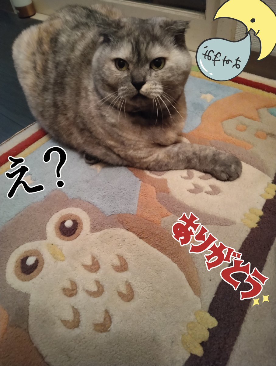 ギャオス tweet media