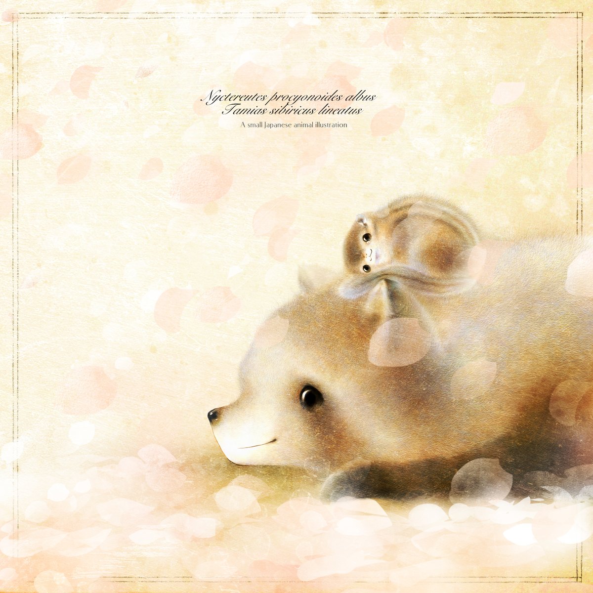 いぬい さえこ🐿️ tweet media