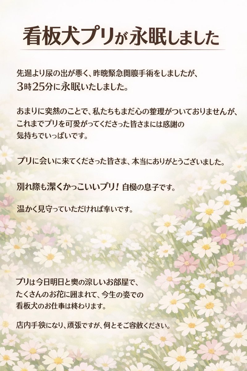 海辺暮らしのミミプリ tweet media
