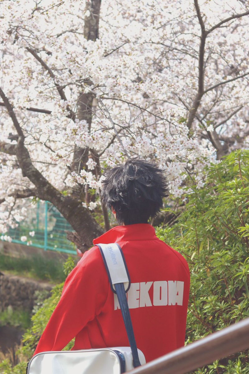 びょんたそ tweet media