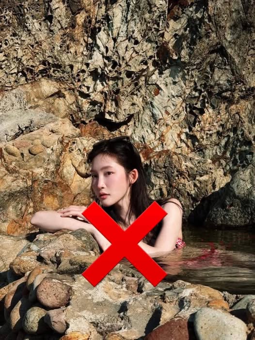 Tran Thai Hoa tweet media