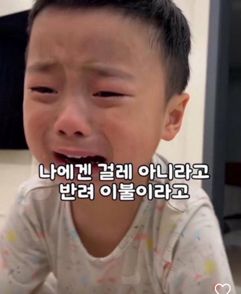 엄다연 tweet media