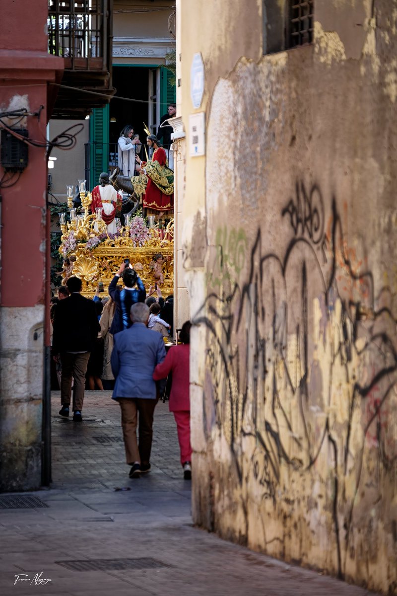 Francisco Mayorga 📷 tweet media