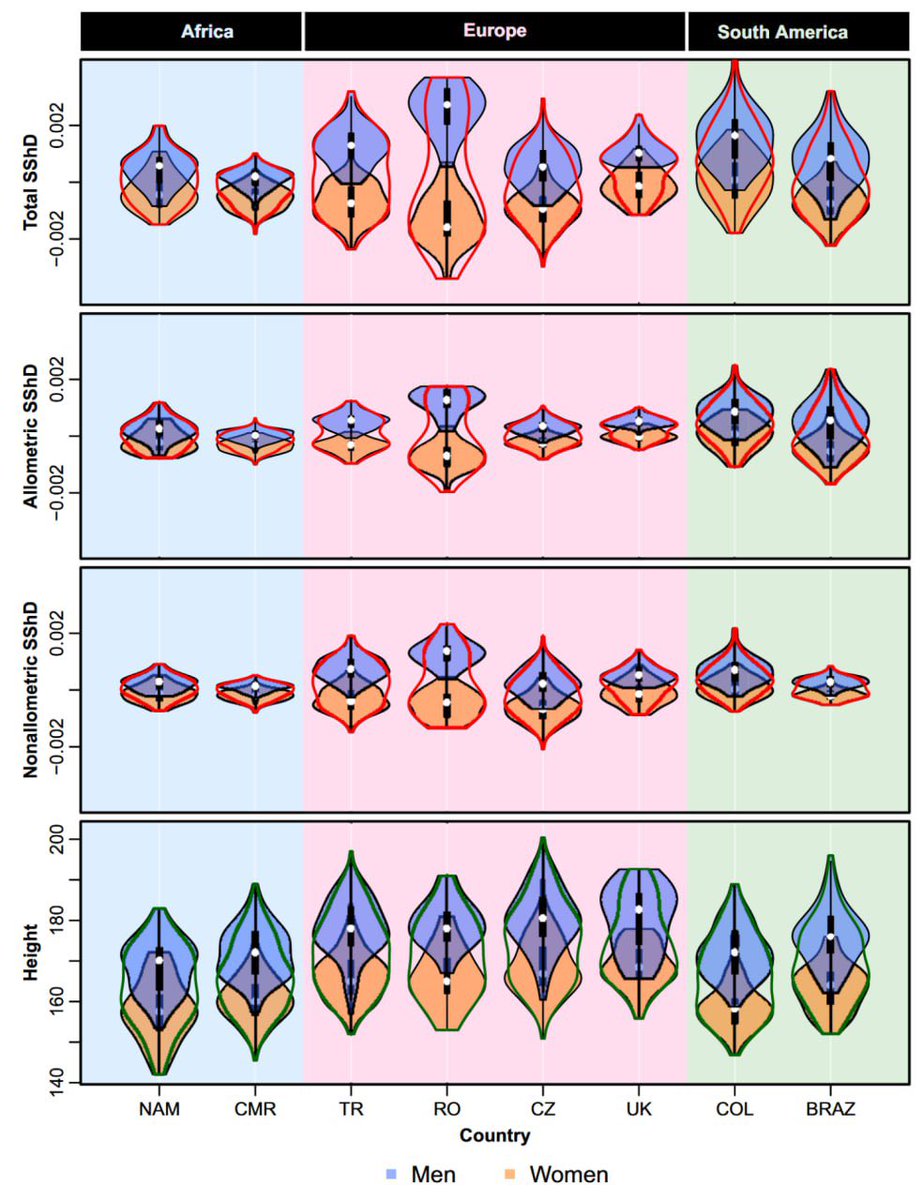 Pennywise Fren tweet media