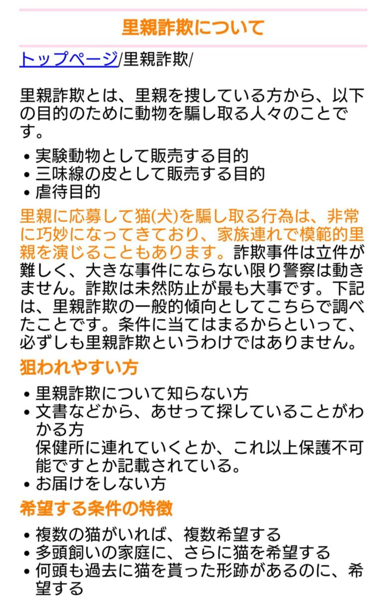 ねこですがなにか tweet media