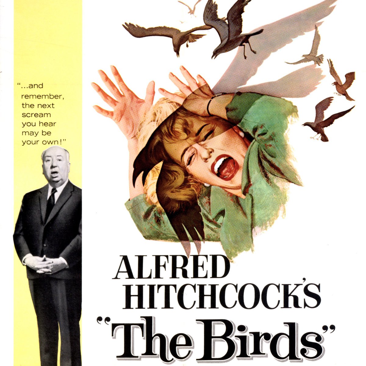 🎧Alonso Villarreal. tweet media