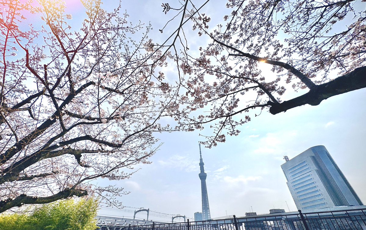 シュヴァイ・グラウ(2D/3D)vtuber tweet media