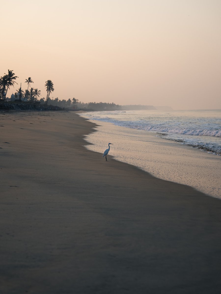 World Best tweet media