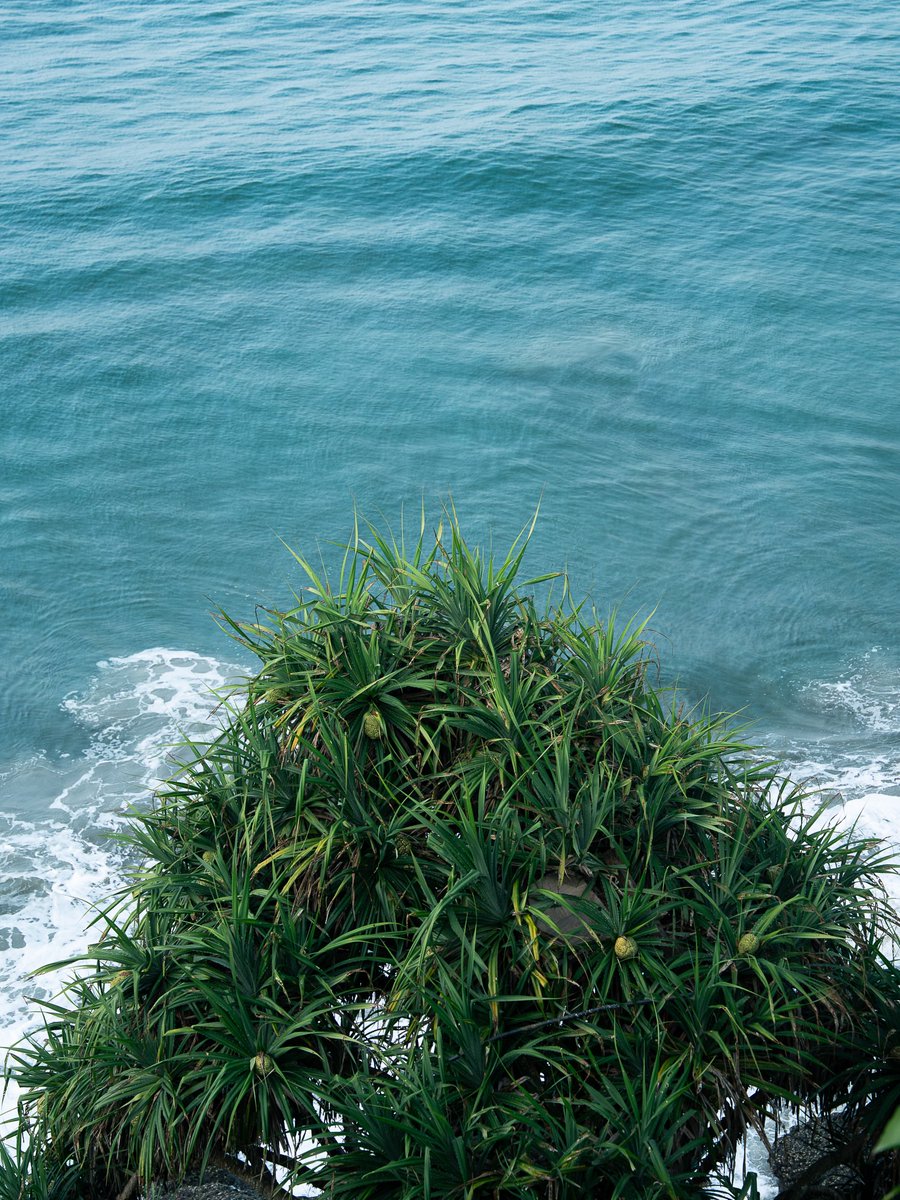 World Best tweet media