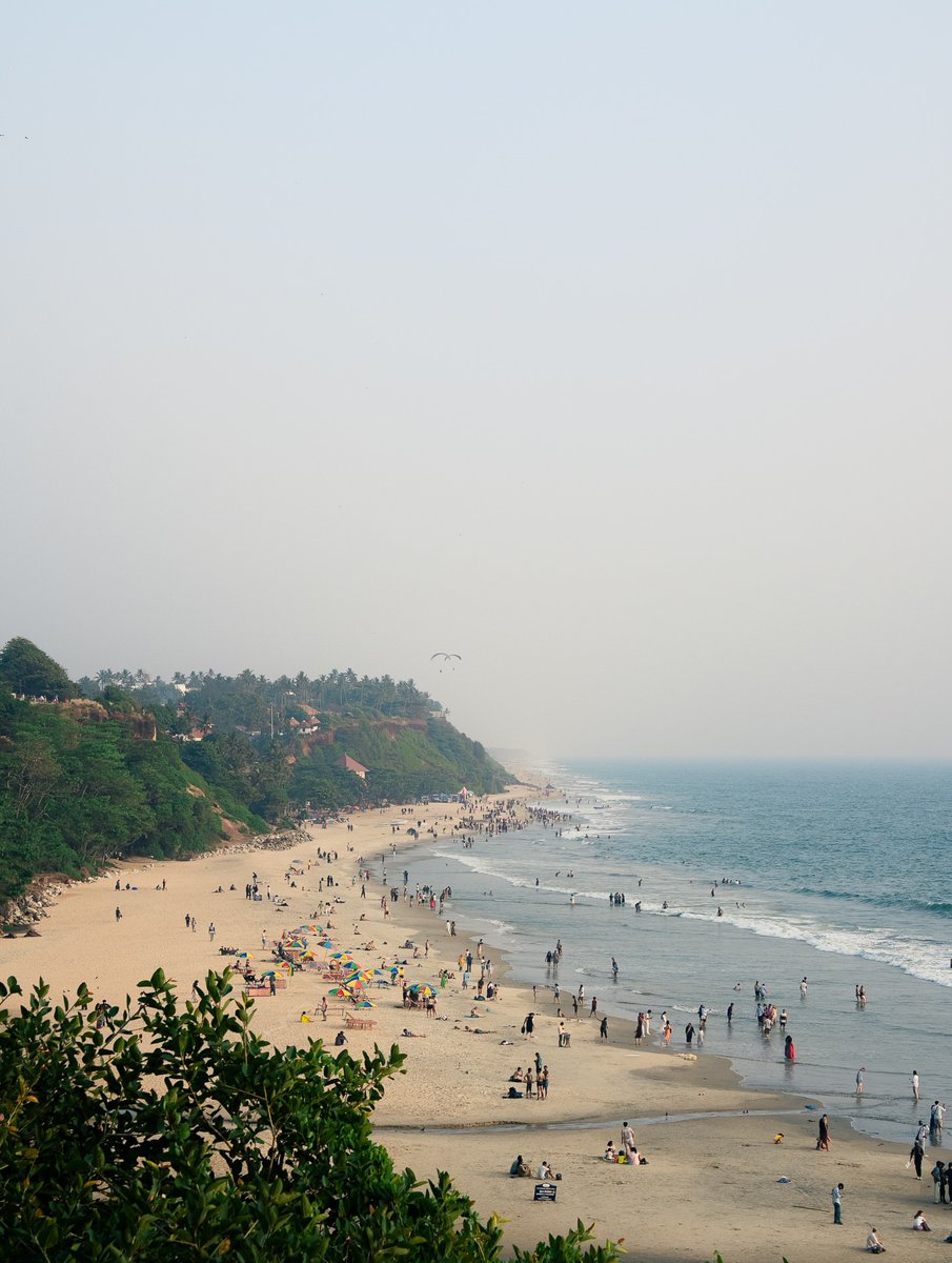 World Best tweet media