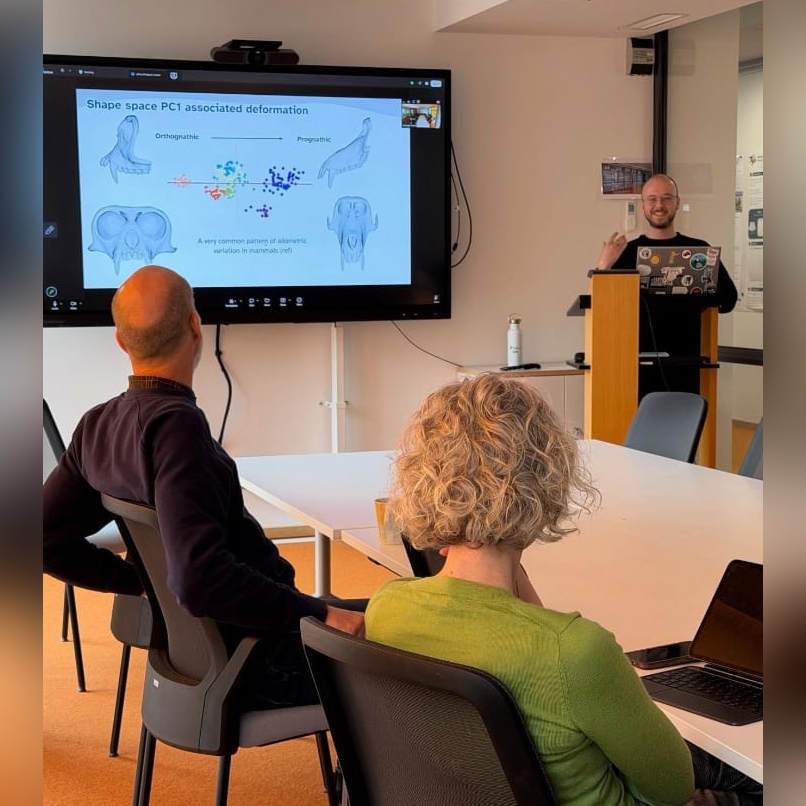 Tied2Teeth tweet media