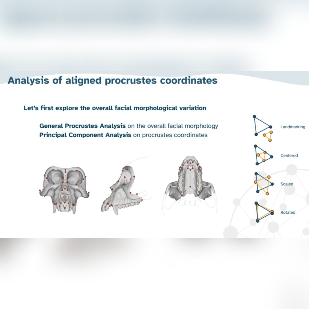 Tied2Teeth tweet media