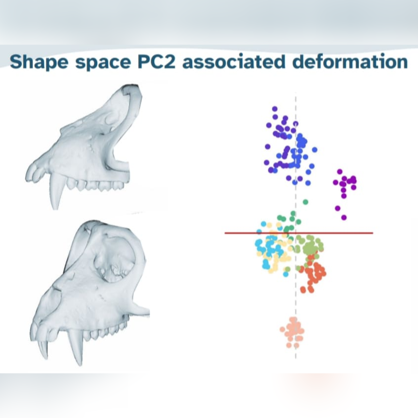 Tied2Teeth tweet media
