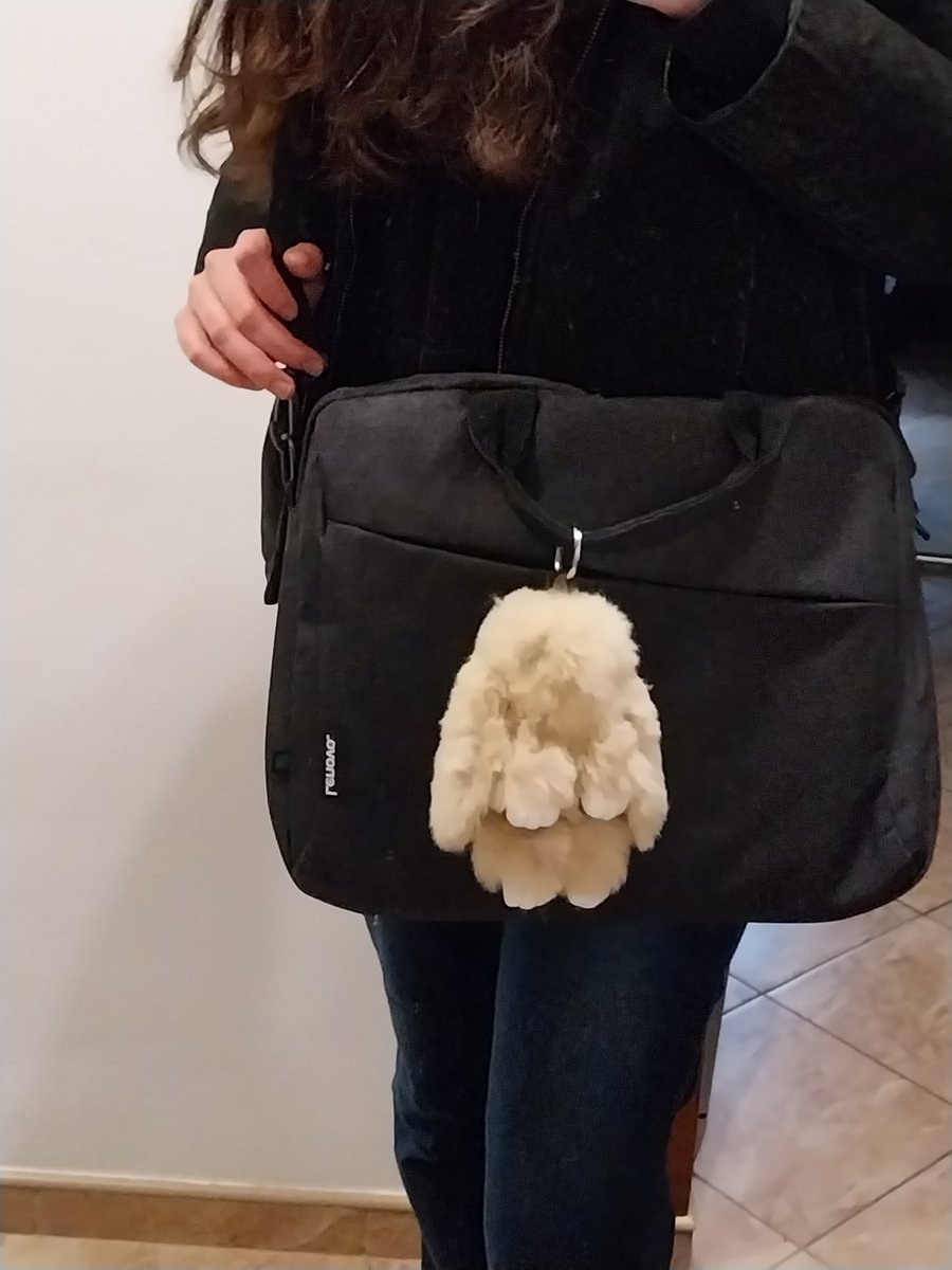 oscphoenix's tweet image. day finished, home with oscbunny!