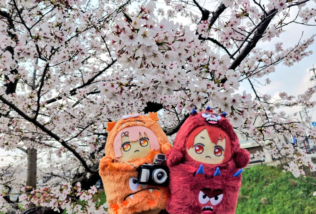 きりまい tweet media