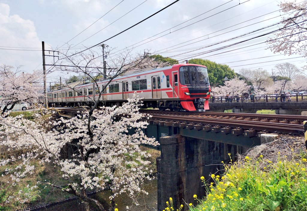 きりまい tweet media