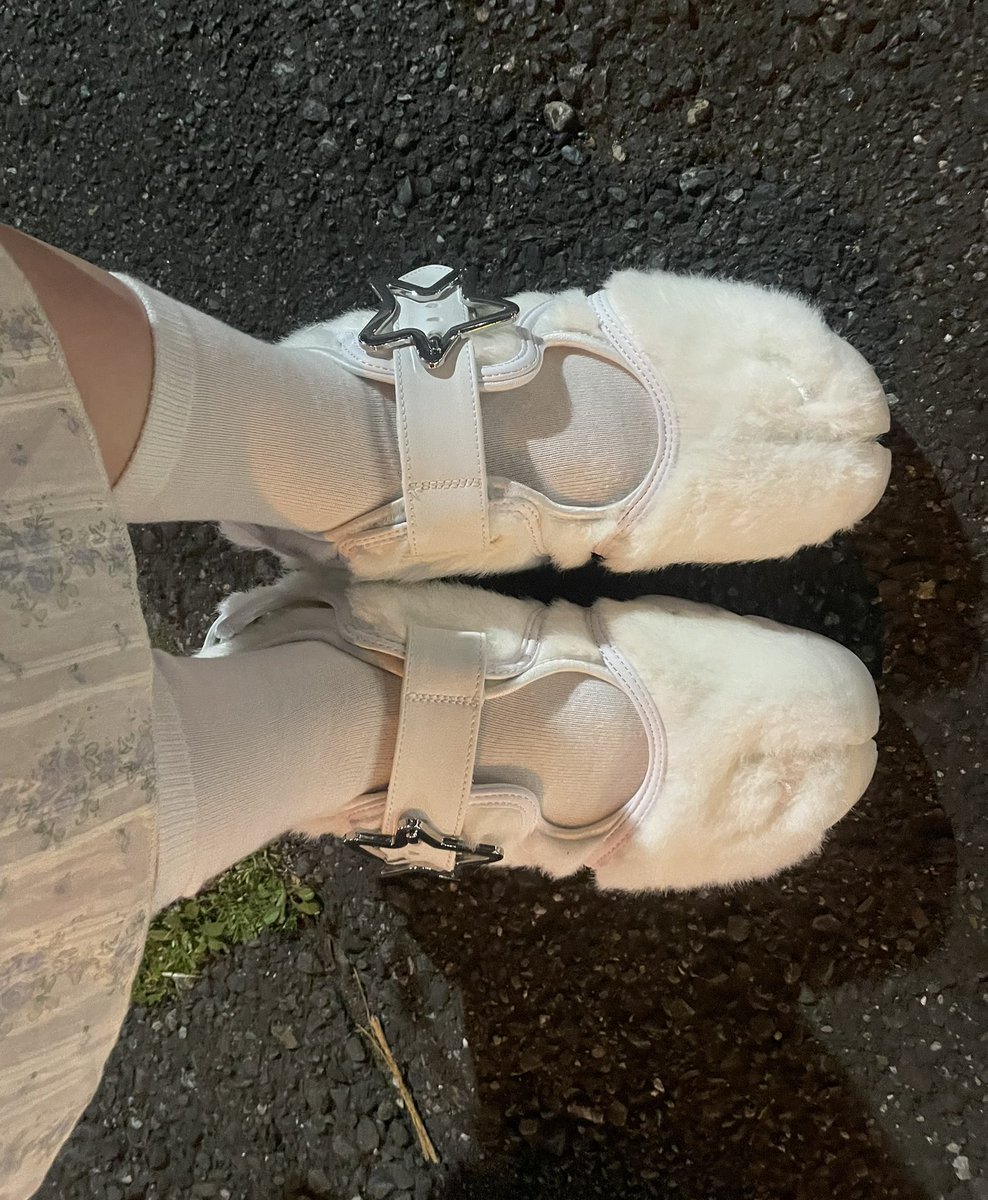 凡蔵。 tweet media