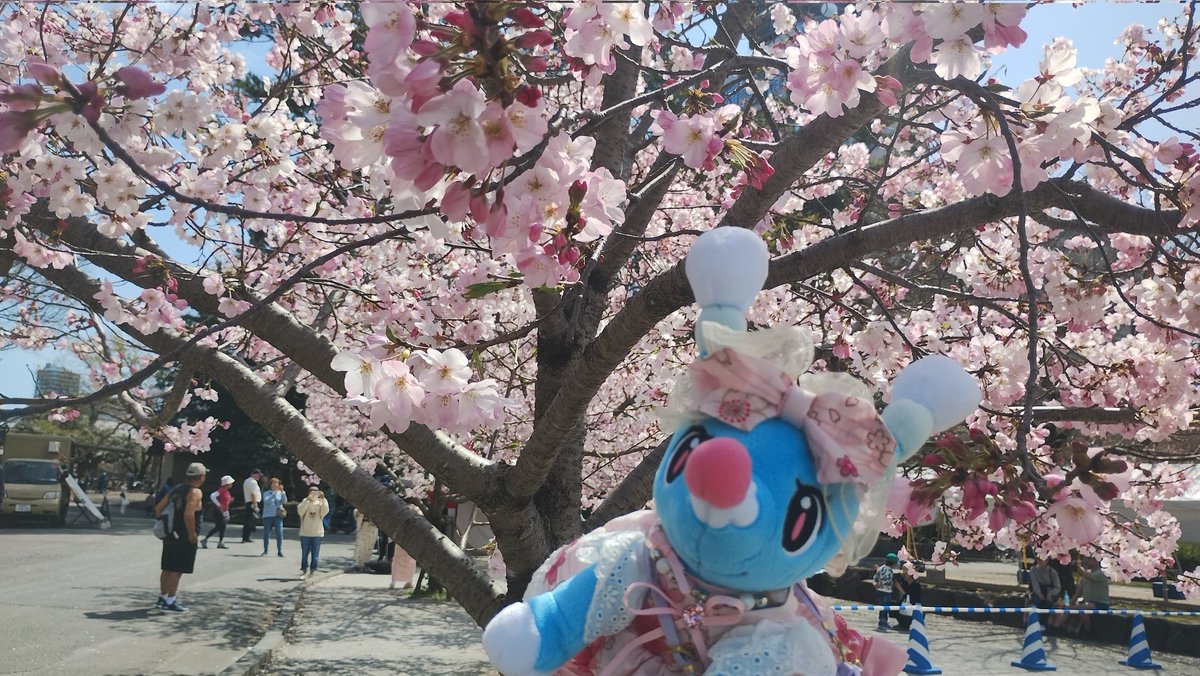 ｱｼﾏﾘ族推しの焔/ポケぬいコスメ部 tweet media