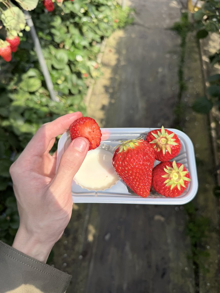 Nat ;) น้องแจมแจมแจม ft. ไนท์ 🥸 tweet media