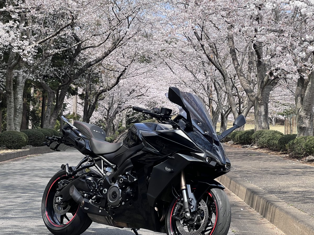 天然パーマ tweet media