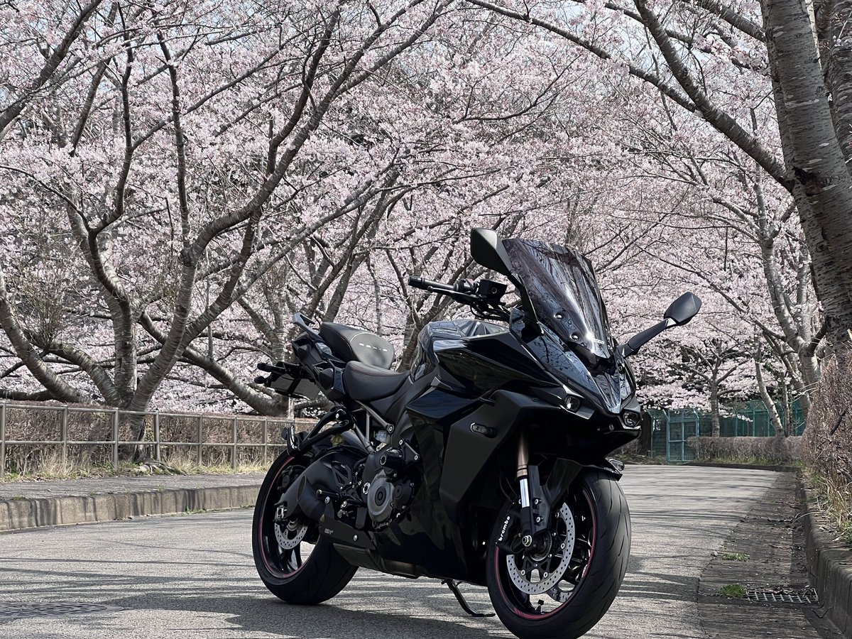 天然パーマ tweet media