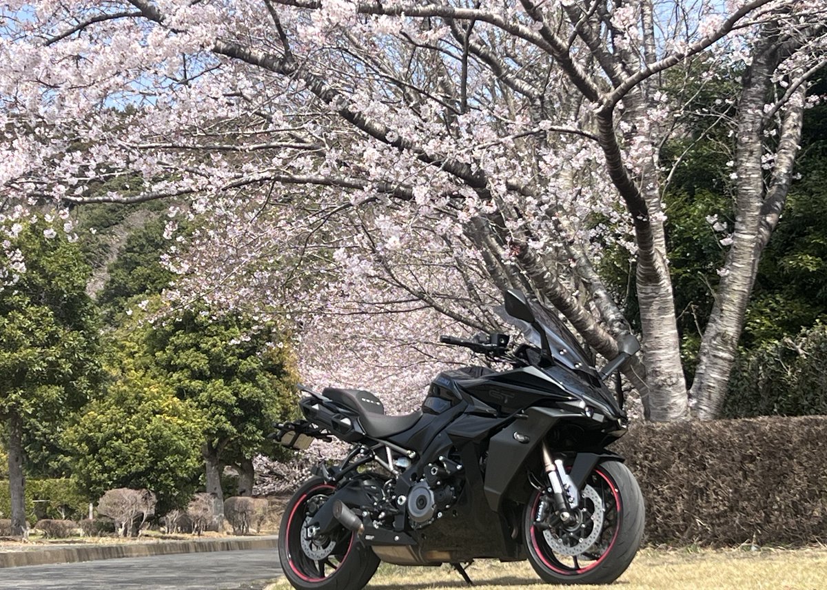 天然パーマ tweet media